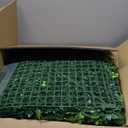 Artificial Grass Wall Panels, 20"x20" 16pcs Hedge Grass Backdrop, UV-Anti Fake Greenery Plant Boxwood Panels, Green Wall Decor for Outdoor Indoor Patio Garden Backyard (Money Tree)