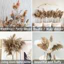 20 Stems 28" inch Large Brown Pampas Grass Decor Tall - Natural Fluffy Pompas Grass Bulk Tall Pampas Grass for Floor Vase - Boho Decor Home Decor Wedding Decor Event DecorGift