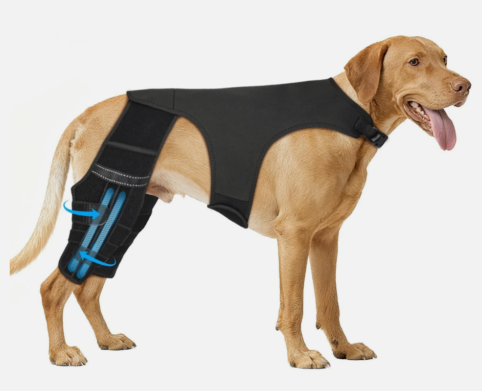 Marnonsis Dog Leg, Luxating Patella, Size L