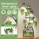 2 Pack Plant Stand Indoor with Grow Lights, 9 Tier Large Tall Plant Shelf | 64" Metal Lighted Plant Stands for Indoor Plants Multiple, Half-Moon Growing Rack Flower Display Holder for Living Room