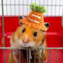 Kajaia 10 Pcs Hamster Hat Small Animals Cute Tiny Hat Mini Hand Knitted Hats for Snakes Pets Bearded Dragon Guinea Pig Bunny Costume Accessories Easter Holiday Parties(Fresh Style)