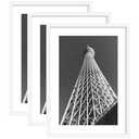 Abtgt 20x28 Picture Frame with 16x24 Mat for Wall Art, 3 Pack White