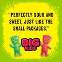 SOUR PATCH KIDS Big Kids Soft & Chewy Gummy Candy, Bulk Candy, Family Size, 1.7 lb (EXP 06/03/26)