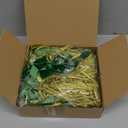 Dingion 100 Pcs Velvet Christmas Gift Bows for Gift Wrapping Elastic Bows Holiday Pre Tied Bows 24'' Stretch Loops Flat Gift (Green)