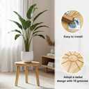 Delma Wood Plant Stands Indoor, 5-Pack Single Plant Stand for 6-12 Inch Pots, Mid-Century Modern Plant Stool, Tall Plant Stand for Large Plants for Living Room, Balcony, Office (Light Brown, 5-Pack)