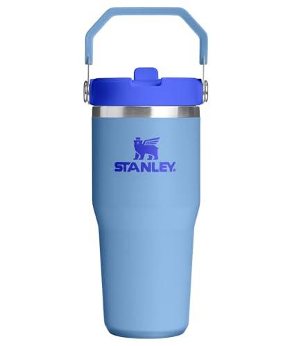 STANLEY IceFlow 2.0 Flip Straw Tumbler with Handle 14 oz | Twist On Lid and Flip Up Straw | Leakproof Water Bottle | Insulated Stainless Steel | BPA-Free | Blue Sky