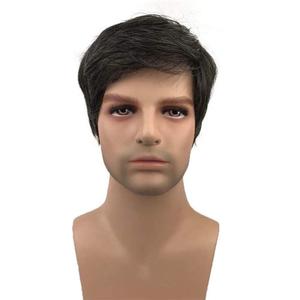 Aimole Synthetic Short Men Wigs Natural Body Wave Hair Heat Resistant Full Capless Wig (#3-38 Grey)