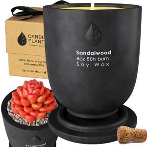 CandlePlanter Concrete Cement Candle Planter - Aromatherapy Scented Candles for Home, Soy Candles - Scented Candle & Dual Purpose Jar, Strong Scented - 8 Oz, 50 Hour Burn - Black Sandalwood