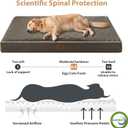 WNPETHOME Orthopedic Giant Human Dog Beds for Adult & Dog Cozy Sleep