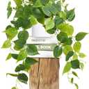 Waipfaru Artificial Plants Indoor, 1Pcs 34" Realistic Fake Pothos Hanging Plants Silk Vines Ivy Potted, Fake Pothos for Living Room Office Bedroom Bathroom Kitchen Shelves Indoor Home Decor