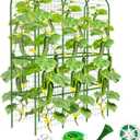 65" Tall Cucumber Trellis for Raised Bed, Metal-clad Plastic Coating U-Shape Garden Trellis Support for Climbing Plants, Plant Support for Vegetables Trellis,Vine Outdoor (49 * 16 * 65in(L*W*H))