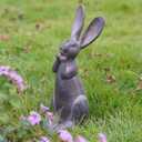 DiliComing Bunny Decor Resin Animals Statue - Garden Decorations Garden Decor for Outside Cute Cheeky Bunny Figurine Statues for Home Decor Outdoor Decor for Porch 11 Inch