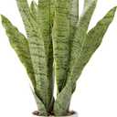 Artificial Realistic Snake Plant 21.5" with White Pot Fake Snake Plants Sansevieria Greenery Faux Snake Plant for Home Office Living Room Housewarming Gifts Indoor Decor-Light Green