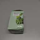 LePe Crushed Fire Glass, Translucent Broken GlassDecorative for Resin Art, Fire Pits, Potted Plants, Garden and Indoor Use, 3-6mm Fire Pit Glass, 1 Pound in Jar(Grey) (Gray)