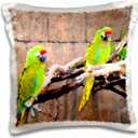 3dRose Tropical Green Parrots Painted Look Copy-Pillow Case, 16 by 16" (pc_178614_1)
