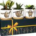 Discontinued Sloth Planters, Unique Decor & Gifts for Women and Men, Thoughtful Premium Quality Sloth Lover Plant Pot, Kitchen Decor, Perfect Planter Gift Set, Ideal Presents for Birthday, Christmas