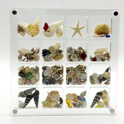 GIOREFAY Acrylic Magnetic Seashell Display Box,Clear Organizer Box Container Craft Storage for Beads,nails,jewelrys,Gemstones,Seashell