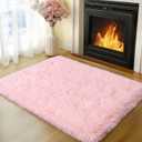 Small Pink Rug for Bedroom, 2x3 Fluffy Shaggy Area Rugs for Girls Kids Room, Soft Non-Slip Fuzzy Shag Carpet for Living Room, Indoor Floor Throw Rugs for Home Decor