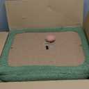 37.4" Cactus Cat Tree Tower with Twin Cat Condos for Indoor Cats, All-in-One Activity Center with Cat Scratching Post Cozy Sleeping Perch Hammock and Toy Balls,Green