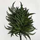 Preserved Real Ferns Dried Tips Stems Wedding Garlands Home Decorations Bouquets Flower Arrangements Wall Hanging (Dark Green)