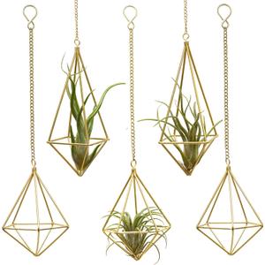 Geometric Hanging Tillandsia Holder Gold Metal Air Plant Holders for House Decor, Small Indoor Plants, Plant Lover Gifts (5Pcs)