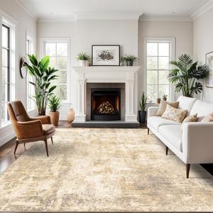 DUIDY 9x12 Modern Abstract Rug Washable Area Rugs for Living Room Bedroom Dining Room Non-Slip Low Pile Neutral Large Rug Soft Indoor Floor Carpet, Gold