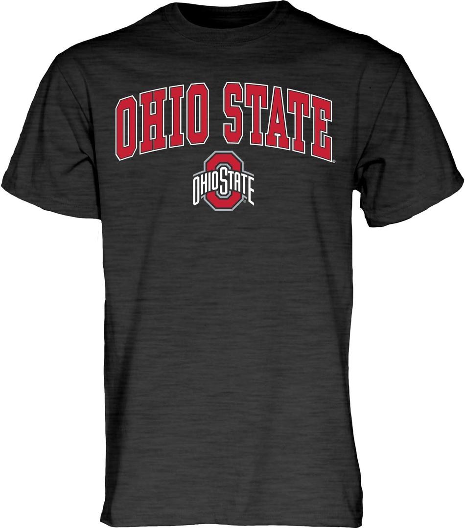 Blue 84 Men's T Shirt Dark Heather Arching Over (Large, Dark Heather)