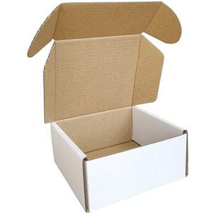 100 Pack 4x4x2'' Small Shipping Boxes, Corrugated Cardboard Mailers for Business, White (CM442-100)