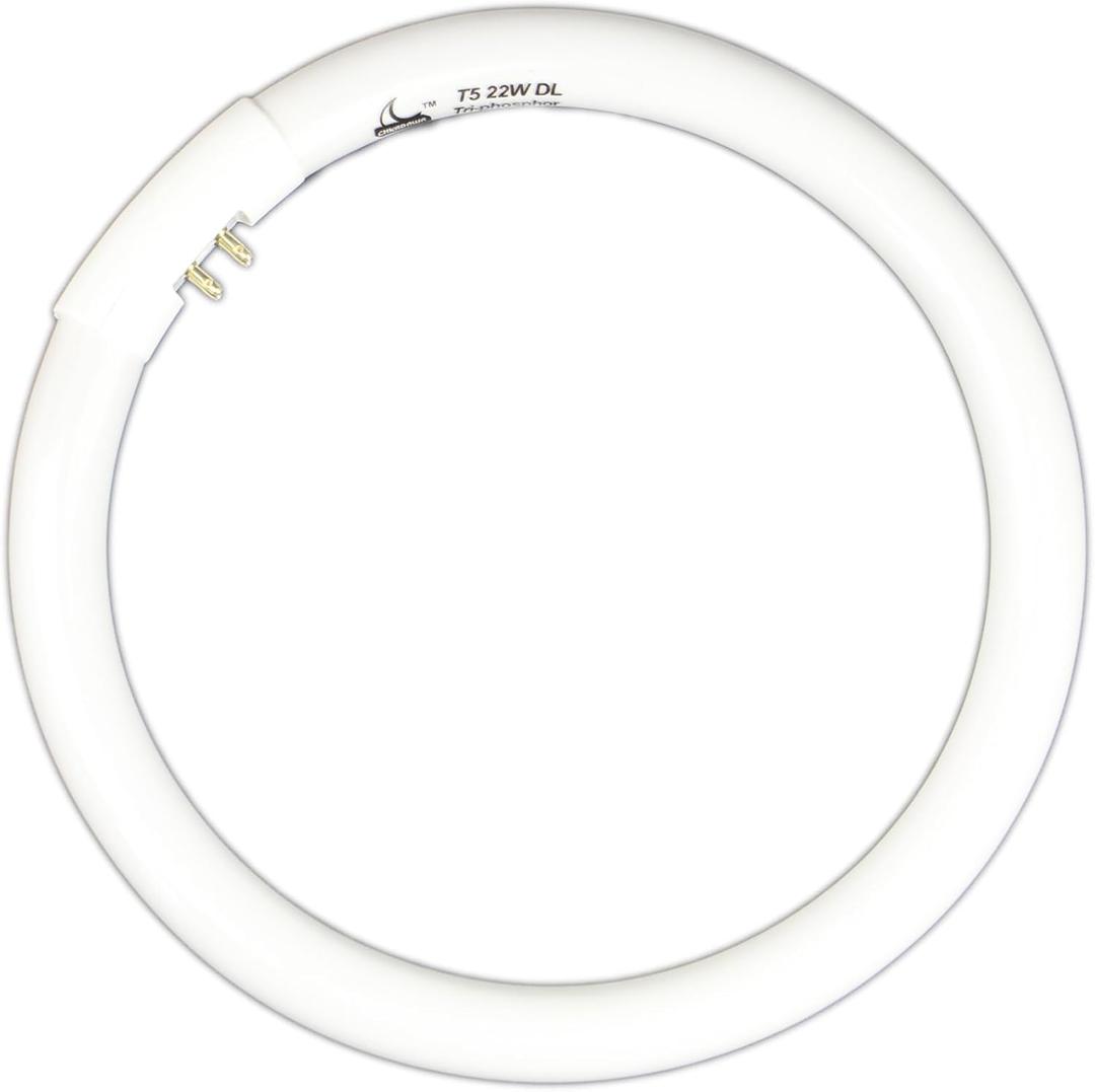 22W T5 Fluorescent Round Tube, 7.25 Inch FCL T5 Type 22 Watts Circular Light Bulbs 6400K 120V, Replacement Circline Bulb for Floxite/Zadro/Rialto Makeup Mirror, Daylight DL