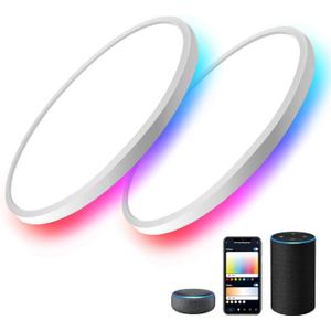 MELEGAN 2 Pack RGB Smart Ceiling Light, Super Slim LED Flush Mount Ceiling, WiFi Compatible with Alexa Google Home,12-Inch 24W Dimmable 2700K-6500K for Bedroom, Kitchen, Dining Room, Basements