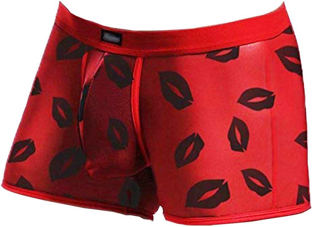 Evankin Men's Underwear Sexy Mesh Breathable Boxer Briefs Low Rise Cool Valentines Boxers Pack Set (Medium)