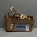 HyeFlora 3PCS Artificial Magnolia Flowers Stems for Spring Decoration, Faux Champagne Magnolia Branches with Buds, 34.5" Long Stems Floral Arrangement for Vase Pot Table Centerpiece Indoor Decor