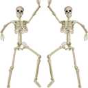 DECORLIFE 2-Pack 36" Pose-N-Stay Skeleton Decorations - 3 FT Posable Skeleton Props for Haunted House Halloween Dcor - Indoor/Outdoor Use, Heavy Duty Bones with Movable Joints & Hang Rope Included
