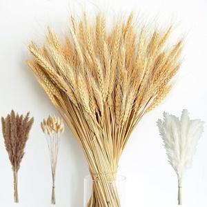 180PCS Dried Wheat Bundle with Pampas Grass & Bunny Tails – Natural Dried Flower Bouquet for Vase, Fall Centerpieces, Wheat Straw & Wheat Grass Decor for Rustic, Boho, Floral & Nature Room Decor