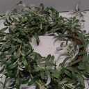 14" Small Twilight Ash Wreaths for Front Door, Greenery Front Door Wreath, Outdoor Decor, Home Decor, Wreath for Door Wall Window Garden Wedding Decor