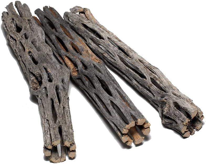 Natural Cholla Wood for Aquarium Decoration Shrimp and Fish Tank (6 Inch (3 Pack))