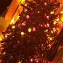 Quntis Cluster Christmas Tree Lights Multicolored - Outdoor Waterproof 25FT 760LEDs LED Christmas Firecracker String Lights - 8 Modes Black Wire Xmas Twinkle Fairy Lights for Wedding Party Decor