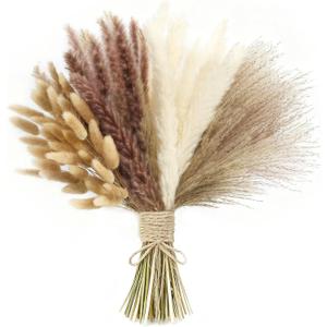 xin's convey 110pcs Dried Pampas Grass, (Vase Not Included),Dried Flower Bouquet, Reed Grass Bouquet for Boho Floral Home, Wedding Party Centerpiece, Rustic Farmhouse Decoration.(Brown)