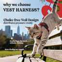 rabbitgoo Cat Harness and Leash for Walking, Escape Proof Soft Adjustable Vest Harnesses for Cats, Easy Control Breathable Reflective Strips Jacket, Black & Red, Medium