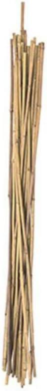 PANACEA 3FT NAT BAMBOO STAKES 15/PK