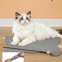 Absorbent Dog Food Mat-Dog Cat Mat for Food and Water Bowl, Quick Dry Pet Food Mat, No Stains Pet Feeding Pad, Cat Accessories Pet Supplies-Water Bowl Mat for Messy Drinkers