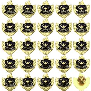 Suncalla 24 Pcs Award Lapel Pins Bulk Honor Society Academic Achievement Excellence Pins 1 Inch Recognition Appreciation Gift for Award Students School (Academic Excellence)