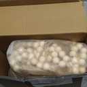 Maxcheck 60 Pcs Wood Bead Napkin Rings with Tassel Handmade Wooden Farmhouse Napkin Ring Natural Beaded Napkin Ring Holders for Tabletop Dining Party Wedding Gathering Home Decoration (Rustic)