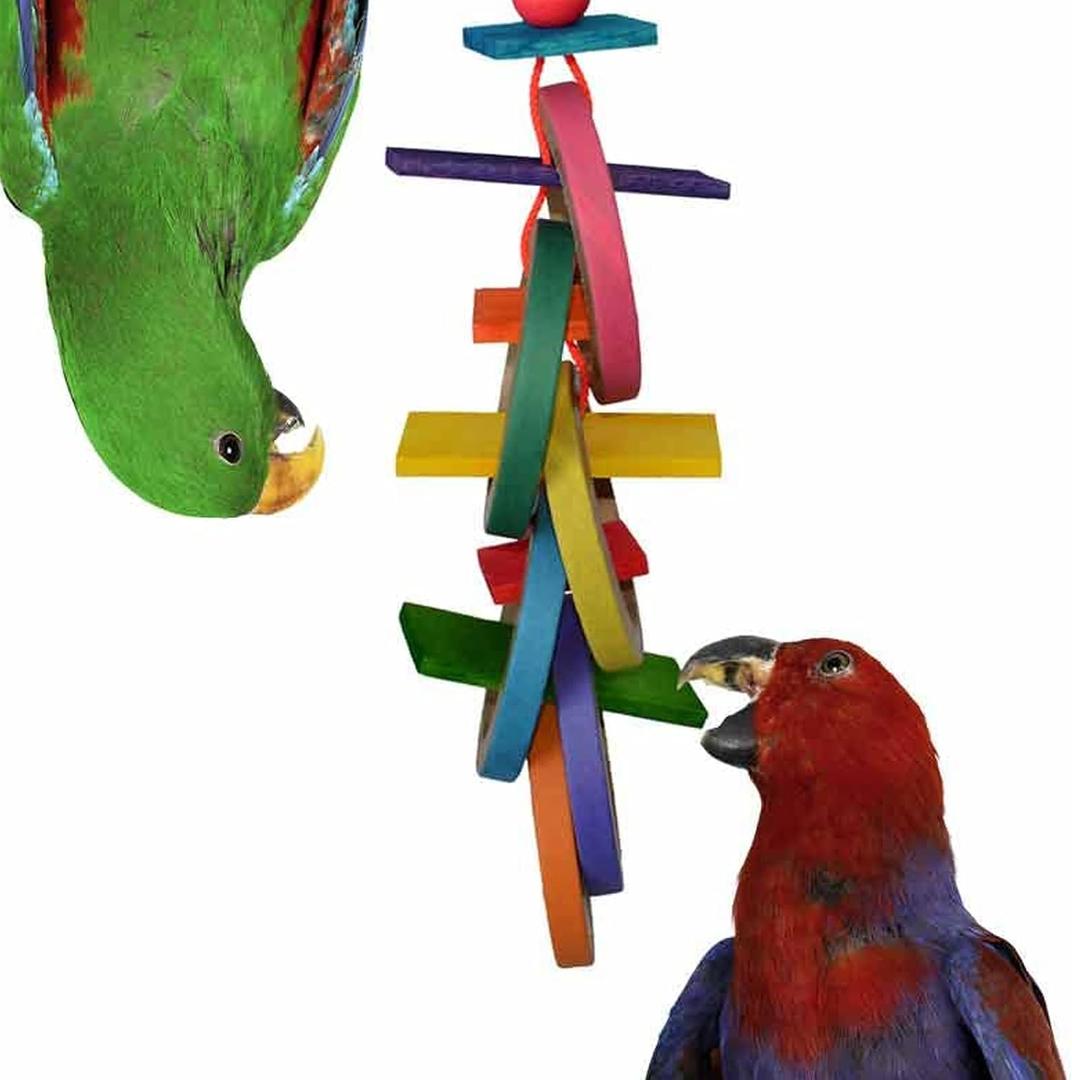 Super Bird Creations SB625 Olympic Rings Bird Toy, Large Bird Size, 15 x 4 x 4