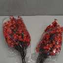 10 Pcs Babys Breath Artificial Flowers Bulk Real Touch Flowers Fake Flowers Silk Flowers for Home Decor Indoor Floral Arrangement Table Centerpieces Festival Party Decor (Red)