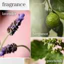 Pureology Hydrate Shampoo - For Dry or Color Treated Hair, Moisturizing Shampoo For Hydration & Softness, With Rose Extract & Green Tea, Vegan & Sulfate-Free (9 Fl Oz (Pack of 1))