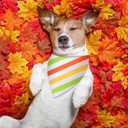 Shinylin 100 Pcs Thanksgiving Dog Bandanas Bulk Polka Dot Stripe Bandanas for Dogs Triangle Kerchief Bibs Scarf Set for Pet Fall Autumn Costume Photo Props Accessories Pet Shops Groomers, 4 Styles