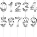BEAN LIEVE Numeral Birthday Candles - Happy Birthday Cake Candles Numeric Candles Number 0 1 2 3 4 5 6 7 8 9 Used for Cake Decoration on Birthday Parties and Wedding Anniversary Celebration (Silver)