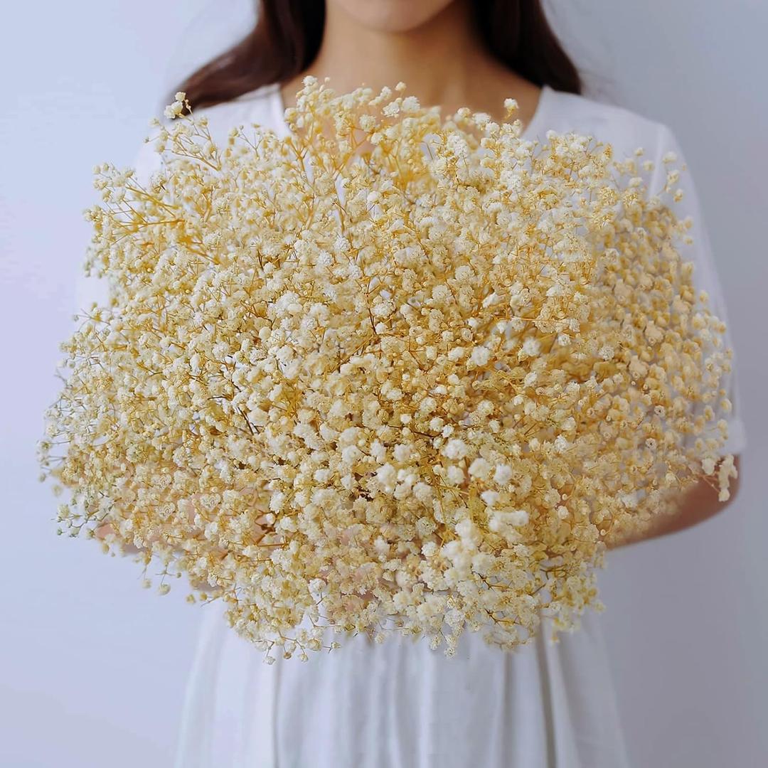 Dried-Babys-Breath-Bouquet-17.2 inch Dried Flowers, Natural Gypsophila Branches for Home Decor, Wedding, Table Decor, DIY Wreath Floral, Dry Flowers Bulk for Vase (Off White)