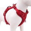 No Pull Dog Harness, Puppy Vest with Front Clip for Small Medium Large Sized Dog(Burgundy Red,L) (L(Neck:20.9-31.5", Chest:24.8-37.4"))